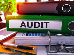 Commercial Insurance Audit
